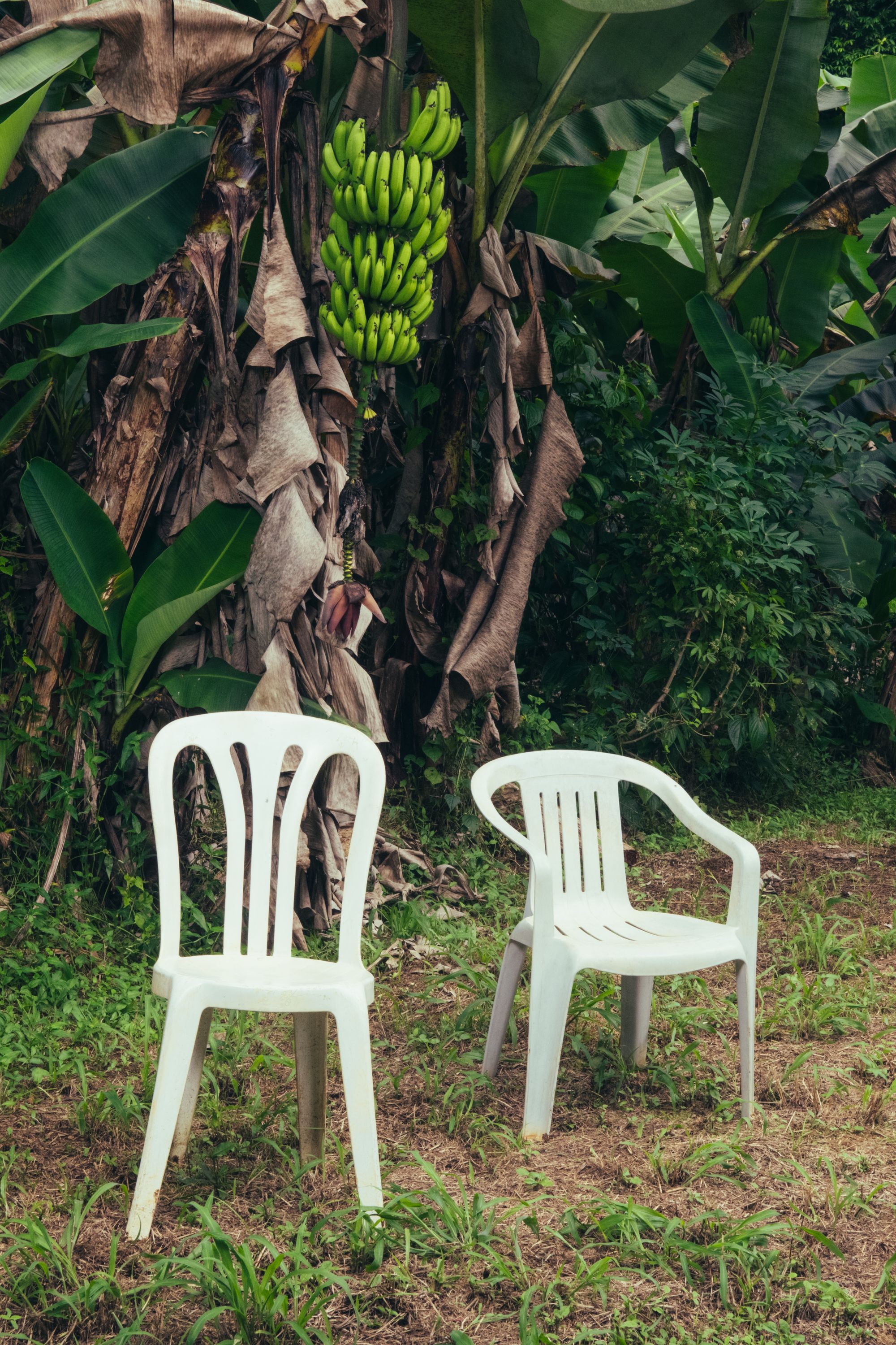 DeBÍ TiRAR MáS FOToS by Bad Bunny